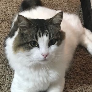 Meet your Posher, Brenda